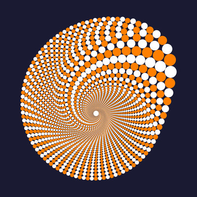 ammonita   julien leonard dots art