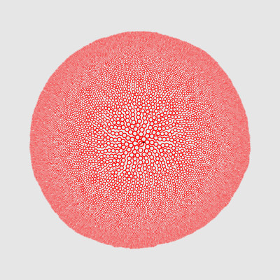 arbouse details   julien leonard dots art