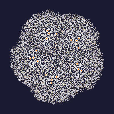 bioluminescence   julien leonard dots art
