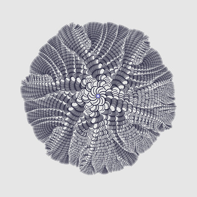 biphase growth   julien leonard dots art