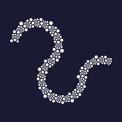 biphased snake   julien leonard dots art