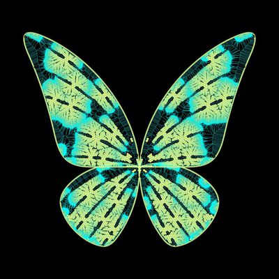 butterfly elecburn   julien leonard dots art