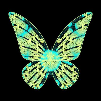 butterfly explosion   julien leonard dots art