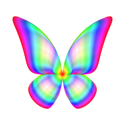 butterfly flower   julien leonard dots art