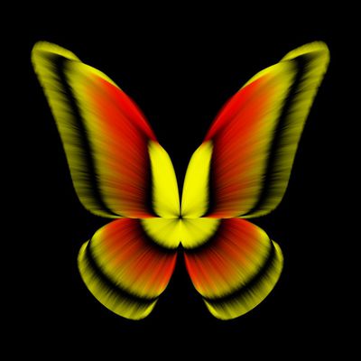 butterfly fluffy   julien leonard dots art