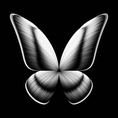 butterfly joker   julien leonard dots art