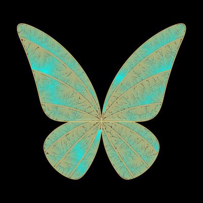butterfly morpho   julien leonard dots art