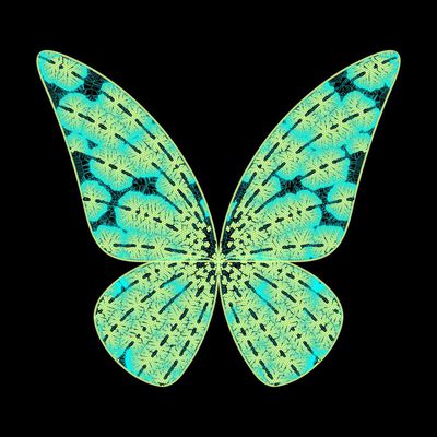 butterfly nervure   julien leonard dots art