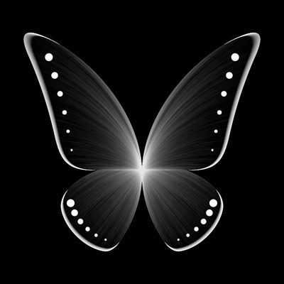 butterfly night   julien leonard dots art