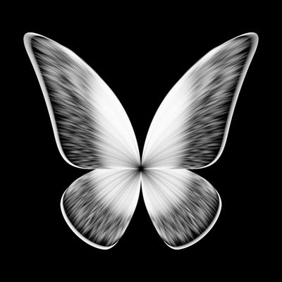butterfly polar   julien leonard dots art