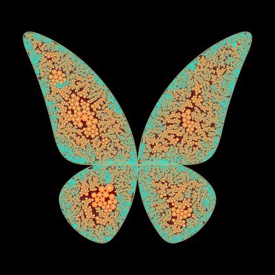 butterfly silver   julien leonard dots art