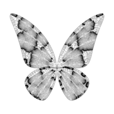 butterfly voronoi   julien leonard dots art
