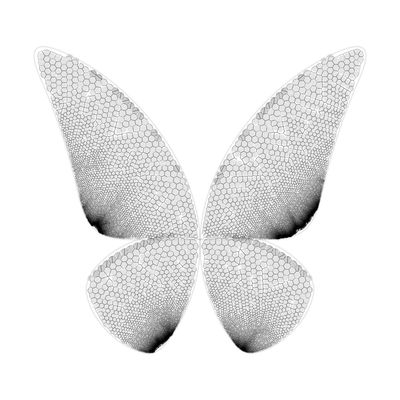 butterfly voronoiburn   julien leonard dots art
