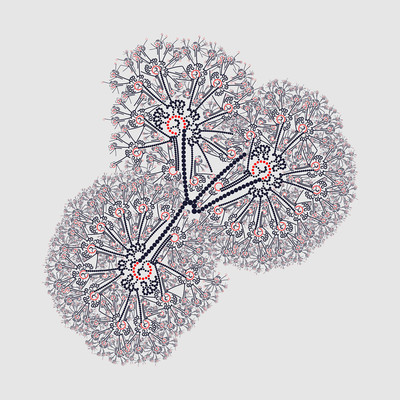 daucus   julien leonard dots art