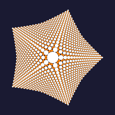 echinoderme   julien leonard dots art