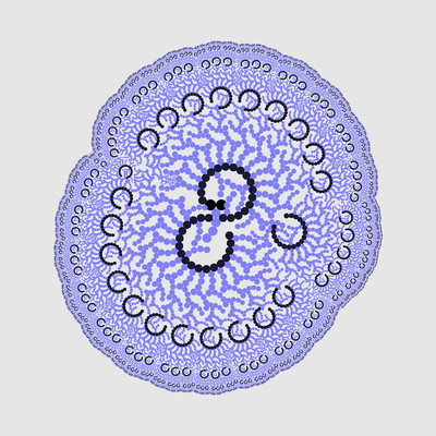 fecond   julien leonard dots art