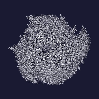 flower thread   julien leonard dots art