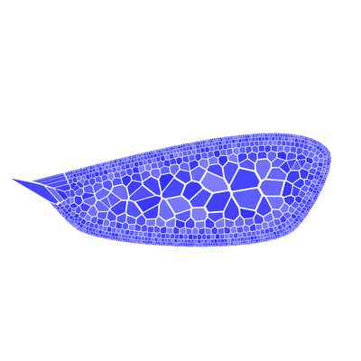 fly wing   julien leonard dots art