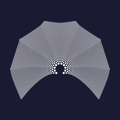 flying net   julien leonard dots art