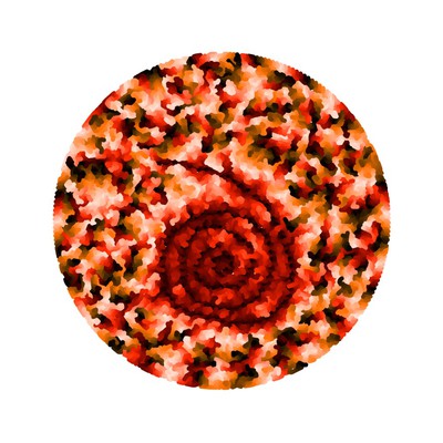 fossil   julien leonard dots art