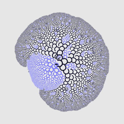 havre   julien leonard dots art