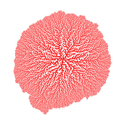 isospread   julien leonard dots art