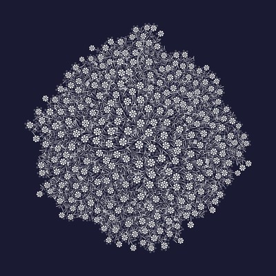 le bouquet de marguerite   julien leonard dots art
