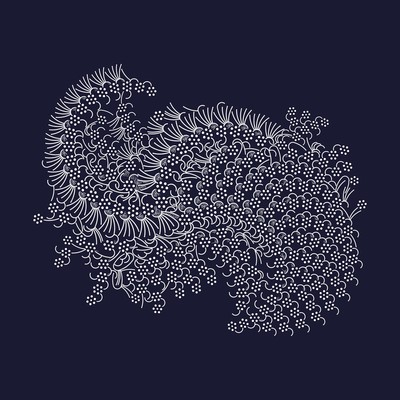 le poisson   julien leonard dots art