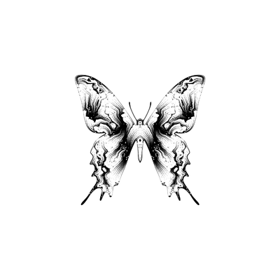 papilio anchor   julien leonard dots art