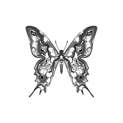 papilio cumulus   julien leonard dots art