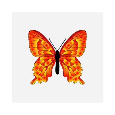 parides igniferii   julien leonard dots art