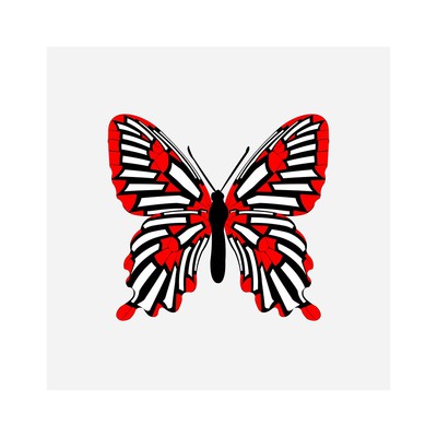 parides jockeria   julien leonard dots art