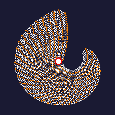 parrot   julien leonard dots art