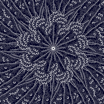 passiflore   julien leonard dots art