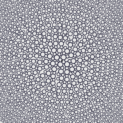 paths   julien leonard dots art