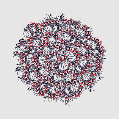 pleurotes   julien leonard dots art