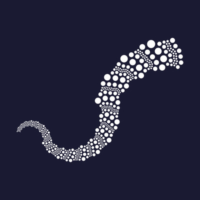 spice worm   julien leonard dots art