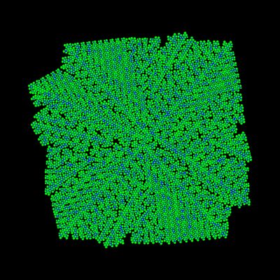 square weed   julien leonard dots art