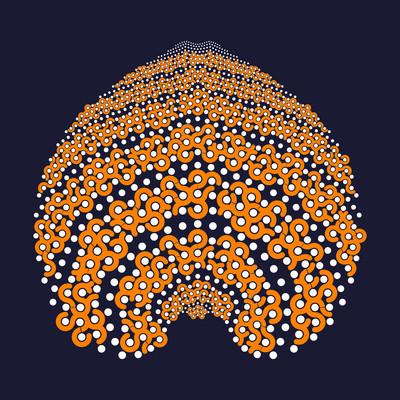 tiger fruit   julien leonard dots art