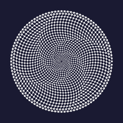 topological spider net   julien leonard dots art