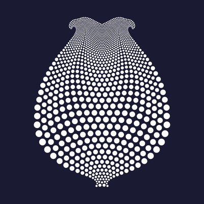 tulip   julien leonard dots art