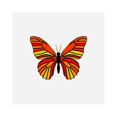 vanessa aurantiacii   julien leonard dots art