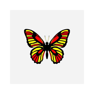 vanessa neoprimitive   julien leonard dots art