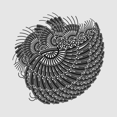 wild turkey   julien leonard dots art