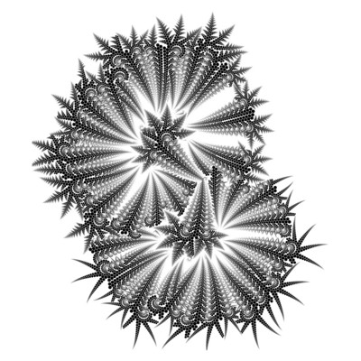 zebra cactus   julien leonard dots art