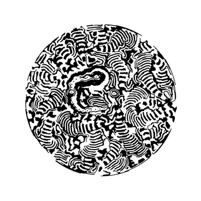 zebraic   julien leonard dots art