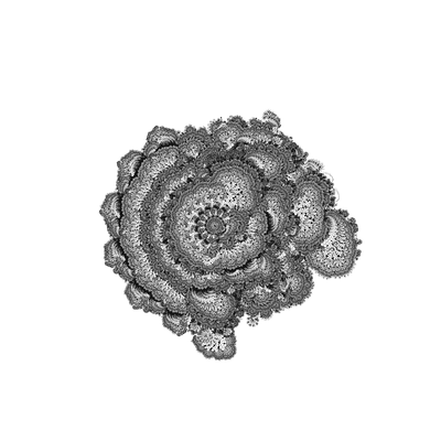 zeus   julien leonard dots art